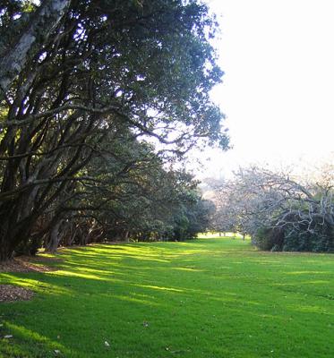 Auckland, New Zealand, and Eternal sunshine