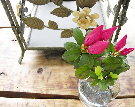 a Birdcage without birds