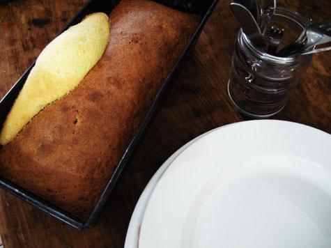 chestnut Loaf, trumpet shell