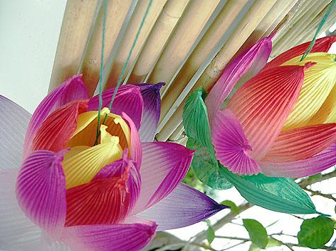 Lotus lanterns