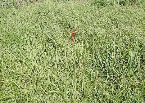 Meet so many new people that have the same kind of values and interests as..me.