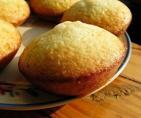 Yogurt Muffins